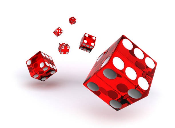 bibit4d Automatic Round Cycle